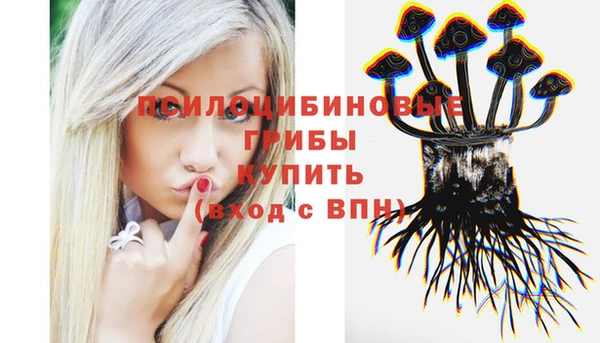 крисы Арсеньев