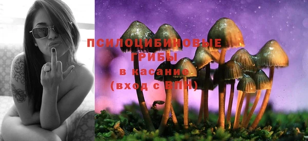 соль курить ск Армянск